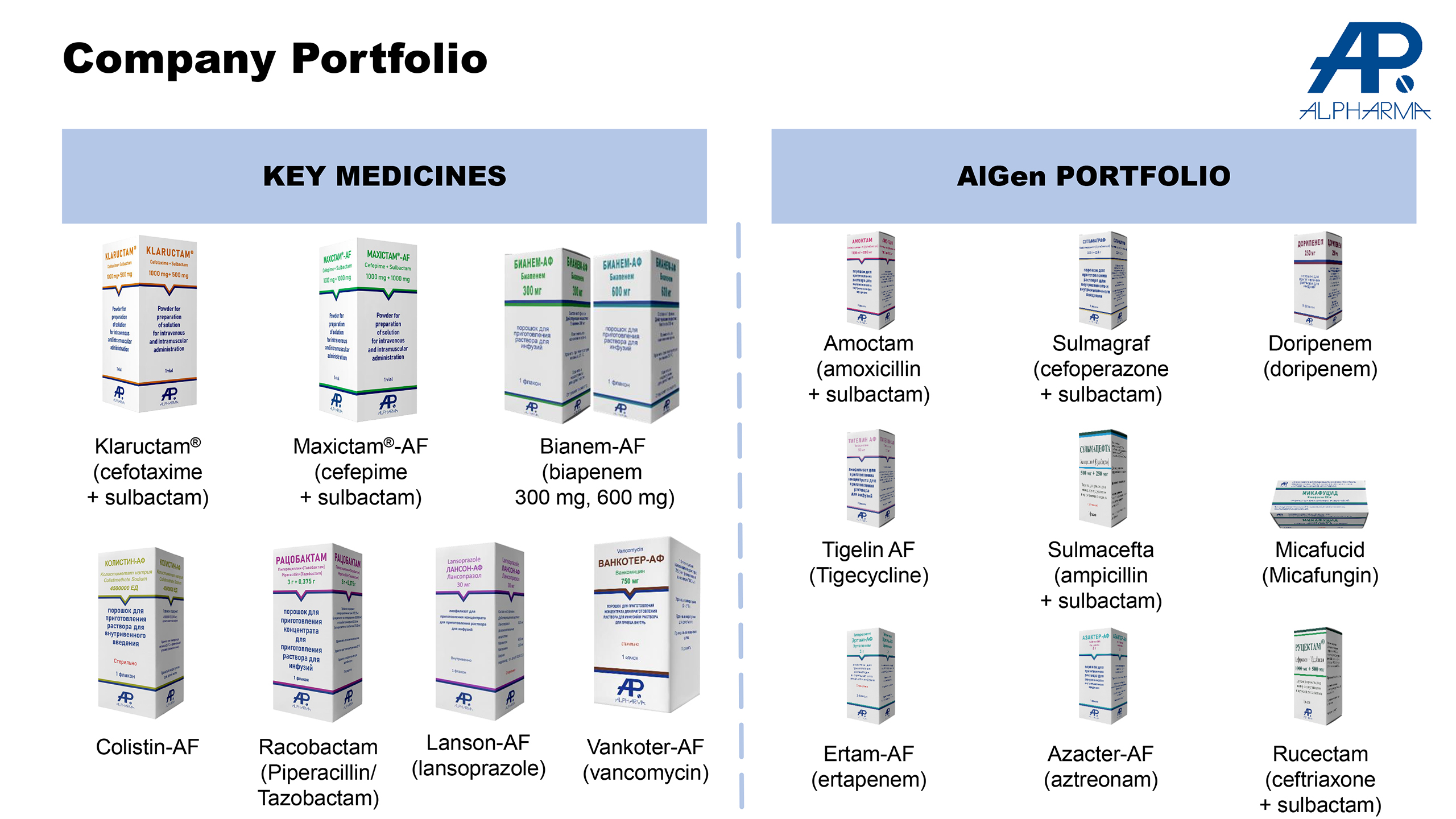 Company Portfolio